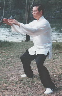 Master Sam Li Standing Qi Gong Exercise. *Builds Qi and strength.