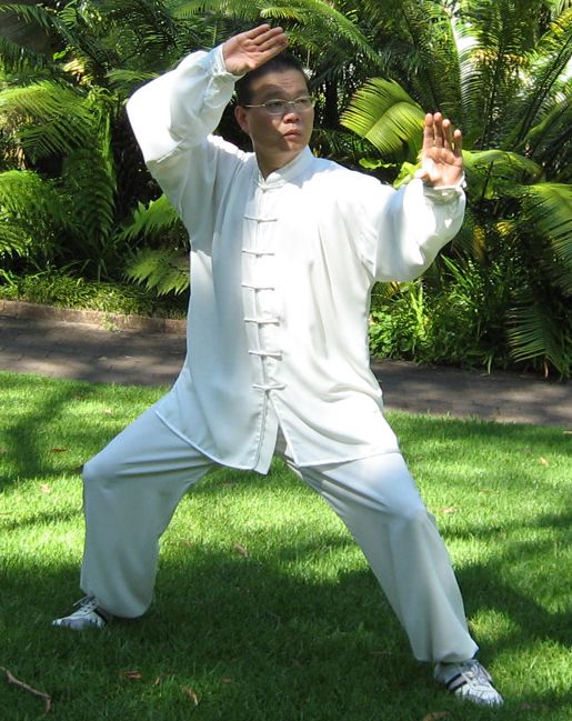 Sam Li demonstrating Tai Chi Fast Form